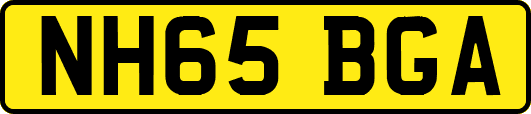 NH65BGA