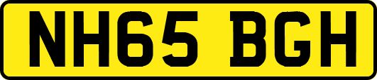 NH65BGH