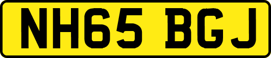 NH65BGJ