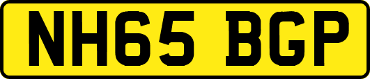 NH65BGP