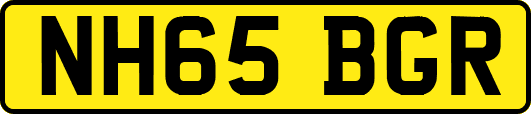 NH65BGR