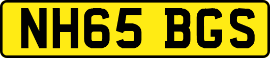 NH65BGS