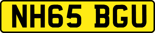 NH65BGU