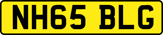 NH65BLG