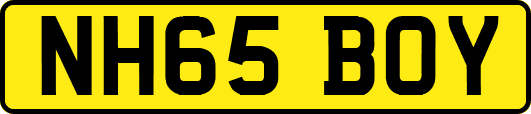NH65BOY