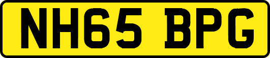 NH65BPG