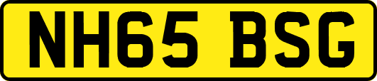NH65BSG