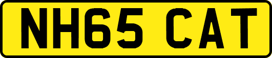 NH65CAT
