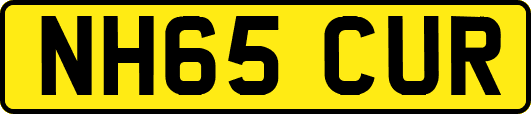 NH65CUR