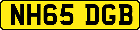 NH65DGB
