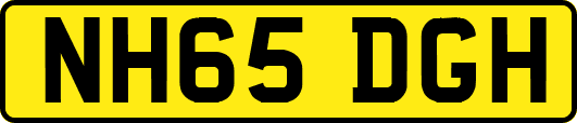 NH65DGH