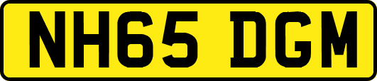 NH65DGM