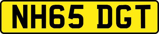 NH65DGT