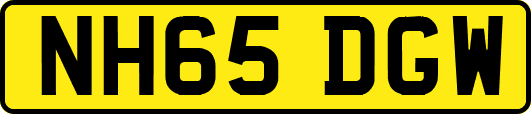 NH65DGW