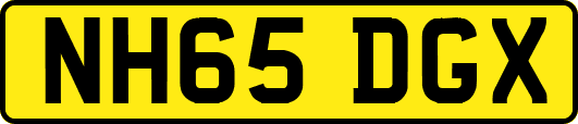 NH65DGX