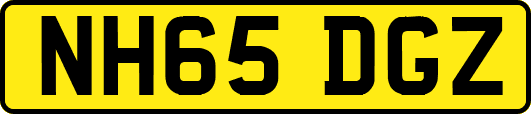 NH65DGZ