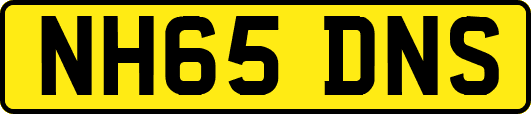 NH65DNS