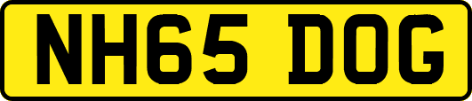 NH65DOG