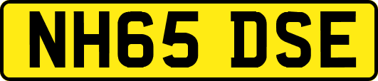 NH65DSE