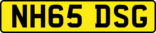NH65DSG