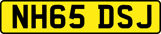 NH65DSJ