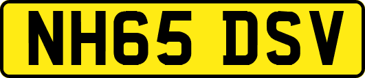NH65DSV