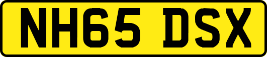 NH65DSX