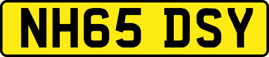 NH65DSY