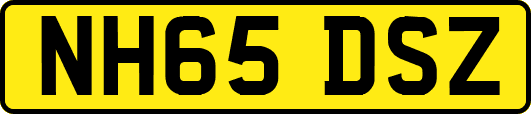 NH65DSZ