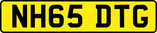 NH65DTG