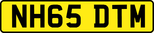 NH65DTM