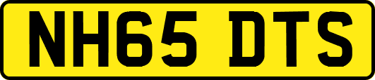 NH65DTS