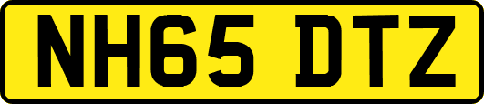 NH65DTZ
