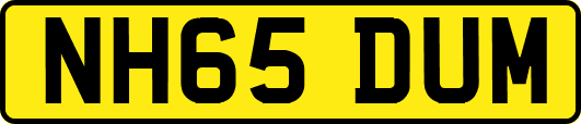 NH65DUM