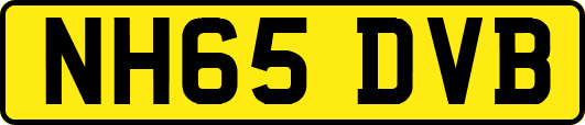 NH65DVB