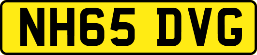 NH65DVG