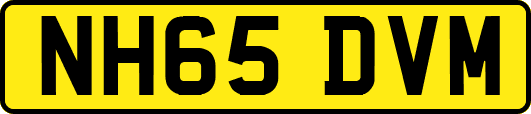 NH65DVM