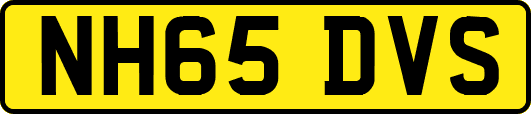 NH65DVS
