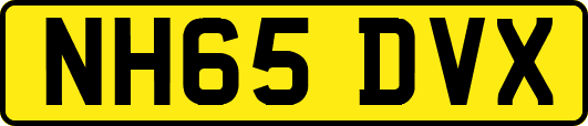 NH65DVX