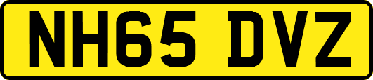 NH65DVZ