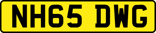 NH65DWG
