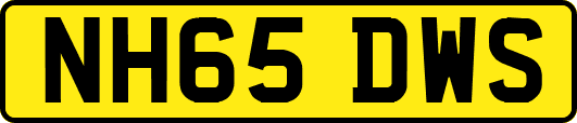 NH65DWS