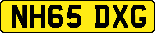 NH65DXG