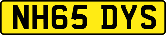 NH65DYS