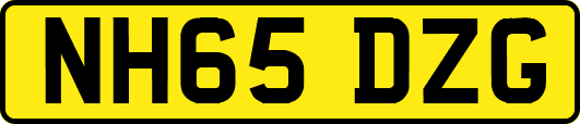 NH65DZG