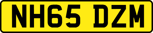 NH65DZM