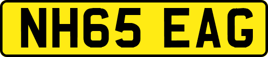 NH65EAG
