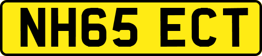 NH65ECT