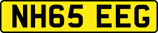 NH65EEG