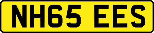 NH65EES